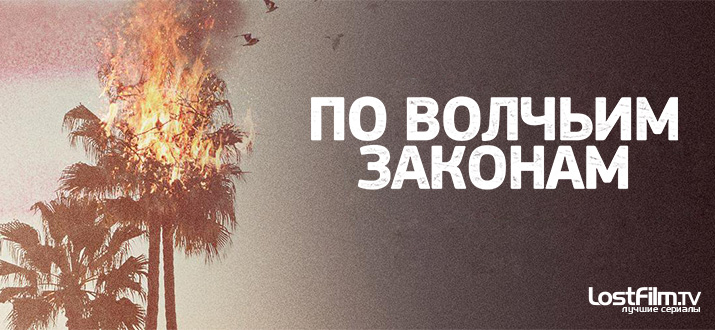 По волчьим законам 1 - 4 сезон